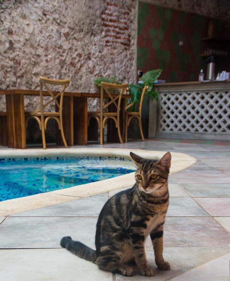 Casa Zahri Boutique Hostel Cartagena 外观 照片